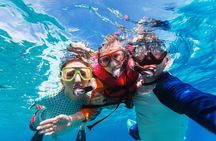 Snorkel in El Cielo Cozumel Reef with Lunch, Beach and Transport