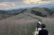 2 Hour Wildflower Horseback Trail Ride experience in Agoura Hills