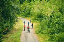 Mountain Bike Lake Arenal and Volcano Backroads