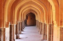 3-Hour Mehrauli Archaeological Park Ruins Walking Tour Delhi