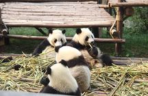 6-Day China Highlights Private Plane and Car Tour from Guilin