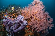 2 Days Discover Scuba Diving in Nusa Lembongan - Scuba Initiation