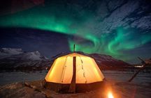 Overnight Stay with Reindeer Sledding & Feeding