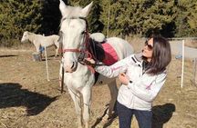 Private Horseback Riding the Rila Range