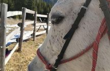 Private Horseback Riding the Rila Range