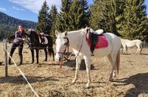 Private Horseback Riding the Rila Range