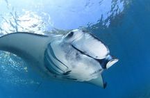 2 Days Discover Scuba Diving in Nusa Lembongan - Scuba Initiation