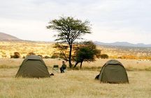 7 days Experience Camping Safari in Tanzania