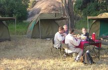 7 days Experience Camping Safari in Tanzania