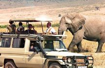 3 Days of Camping Bliss in Serengeti and Ngorongoro Crater