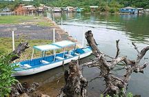 4-Hour East Side Roatan Private Guided Tour with Canoe Ride