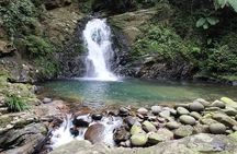 Bach Ma Park via Hai Van Pass Private Full-Day Trekking Tour