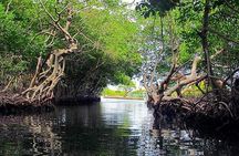 4-Hour East Side Roatan Private Guided Tour with Canoe Ride