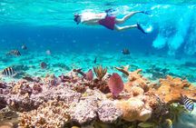 Pearl Island Bahamas Snorkeling Experience and Lunch