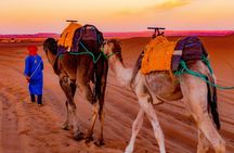 Morocco Private Tour 8 Days 7 Nights (Imperial cities and Grand South Tour)