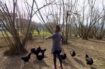 Sustainable Farm Tour & Northern Italian Cooking Class in Asti 