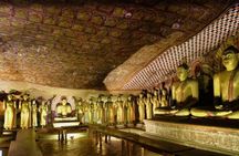 Dambulla, Sigiriya and Habarana Tour with Hotel Pick Up