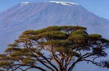 Mountain Kilimanjaro Climbing 6 Days Machame Route
