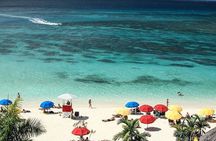 Montego Bay Highlights Tour from Montego Bay