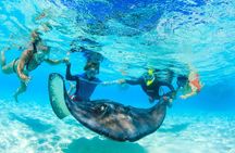 Private Stingray City and Snorkeling Half Day Charter for 6 Guest