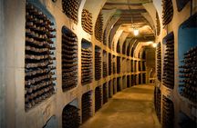 Biking a Guinness Book Winery