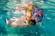 Snorkel in the turquoise Caribbean Sea in Puerto Morelos. Transport included