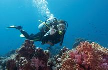 Diving Antalya Kemer