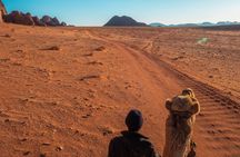 3 Days Private Wadi Rum Experience with Petra from Eilat
