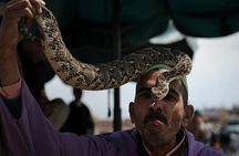 1 day Marrakech excursion leaving from Agadir