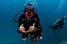 Advanced Open Water Course in Pemuteran - Certification in Bali (Menjangan park)