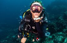 5 Fun Dives in Pemuteran (for certified divers) - Exploration in Menjangan Park