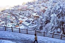 Private 6 Days Shimla Kullu Manali Honeymoon Tour From Chandigarh