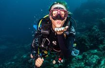 Open Water Course in Tulamben - Get Certified in Bali