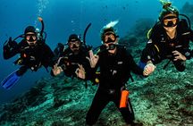 Open Water Course in Tulamben - Get Certified in Bali