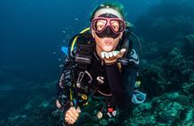Day Trip certified divers - 3 Dives in Tulamben (pick-up & drop-off included)