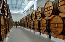 Cognac and Chocolate Tour in Transnistria