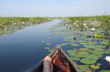 2 Nights Okavango Delta Mokoro WildCamping Tour, all-inclusive