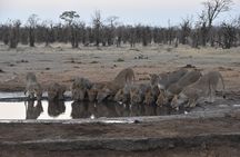 10 Day Northern Botswana & Victoria Falls WildCamping Expedition