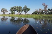 Johannesburg or Gaborone to Maun: 5 Day Rhinos, Diamonds & Okavango Delta Tour