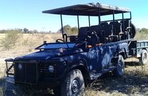 2 Day Wilderness Trail: Okavango Delta and Moremi - Camping Safari