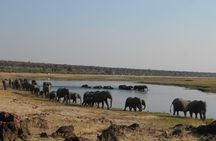 10 Day Northern Botswana & Victoria Falls WildCamping Expedition