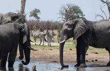 3 Day Desert Trail: Central Kalahari Game Reserve - WildCamping Safari