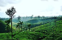 Hill Station Tour from Coimbatore to Valparai - 2 days