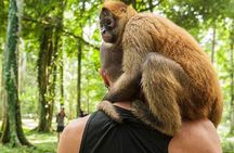 Wildlife Rescue Center and Punta Uva Beach & Jungle Hike