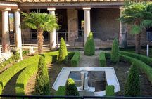 Pompeii Small Group Tour - Tickets Included