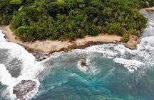 Gandoca - Manzanillo Trail & Great Green Macaw Tour