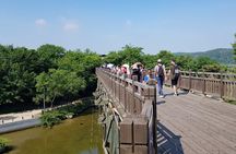 Half Day Korea DMZ Tour (hotel pick up) / opt: suspension bridge