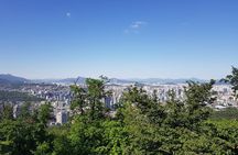 Seoul Morning Tour: Seoul Tower, Namsan Hanok Village, The War Memorial of Korea