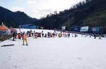 Nami Island + Ski Tour 