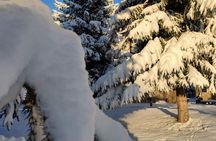 Private Snowshoeing Vitosha for 1 day